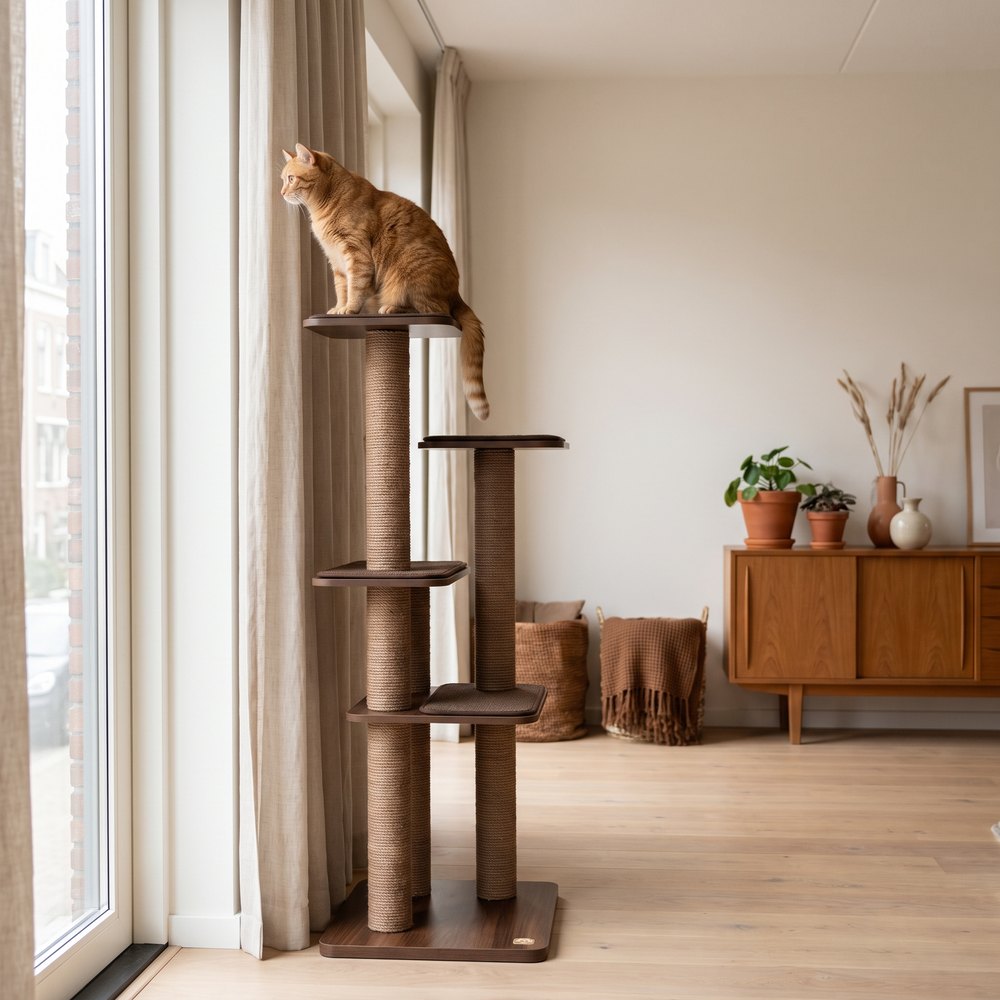 Kattenmeubel inspiratie